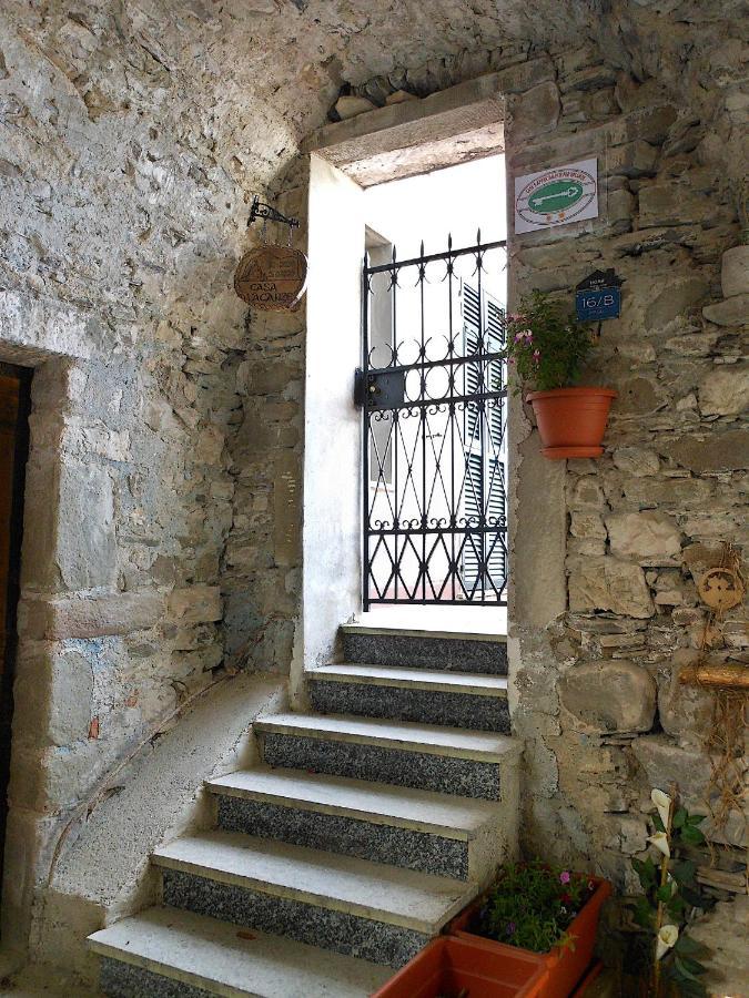 Il Nido Magico Incanto E Magia Nel Borgo Antico Calice al Cornoviglio Eksteriør bilde